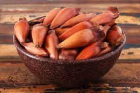 foto Not&iacute;cia Campos do Jordão