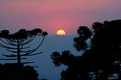 foto Campos do Jordão-SP