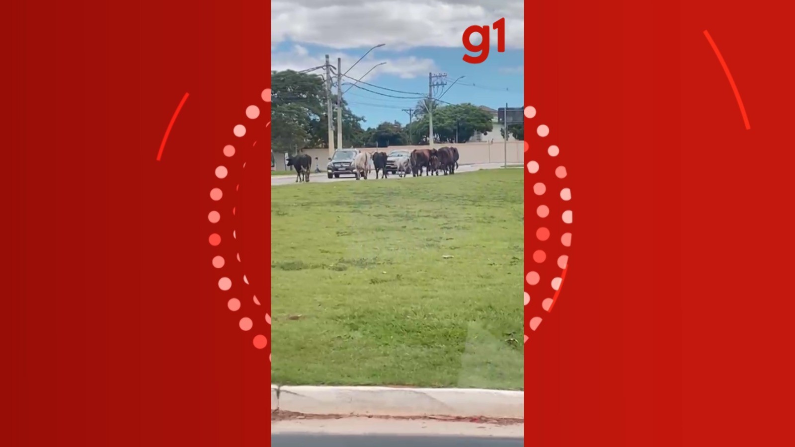 foto Not&iacute;cia Campos do Jordão