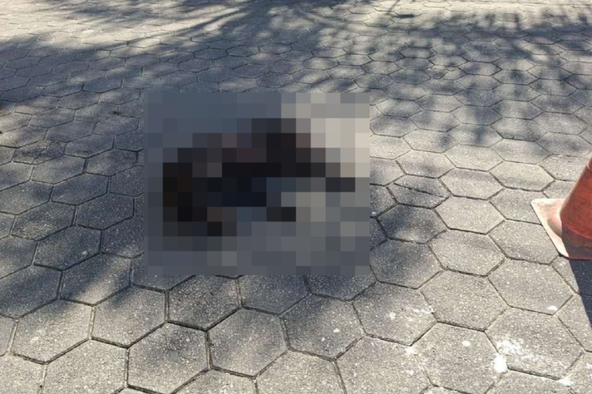 foto Not&iacute;cia Campos do Jordão